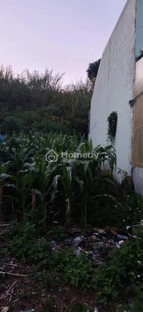 Bán Đất Thổ Cư Giá Rẻ, Chính Chủ, Xã Đức Trọng, Lâm Đồng, Cách Cổng Sân Bay Liên Khương Chỉ 600 M