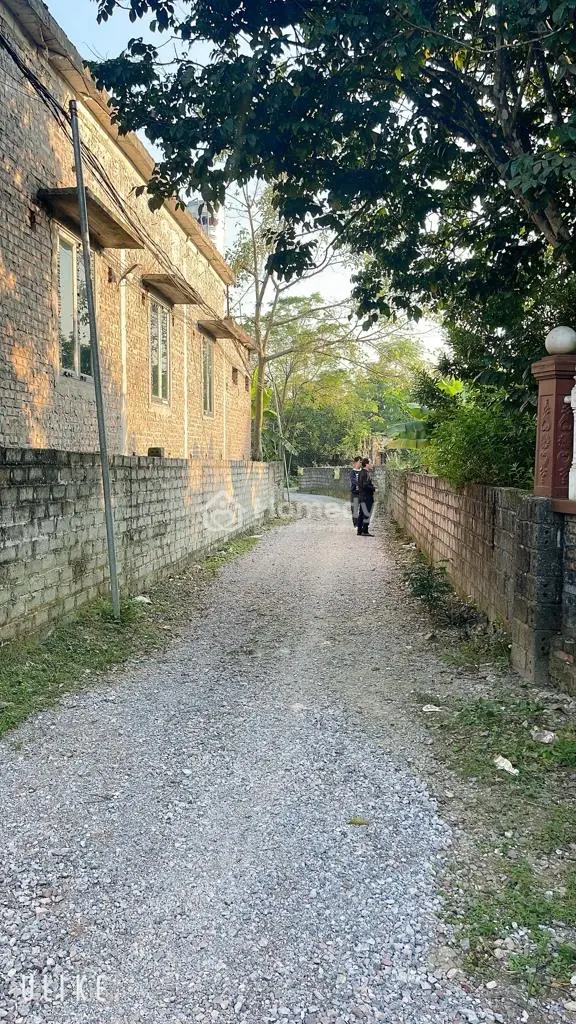 🔥 245M² Full Thổ Cư – Chưa Tới 1,5Ty 📍 Lương Sơn – Hòa Bình