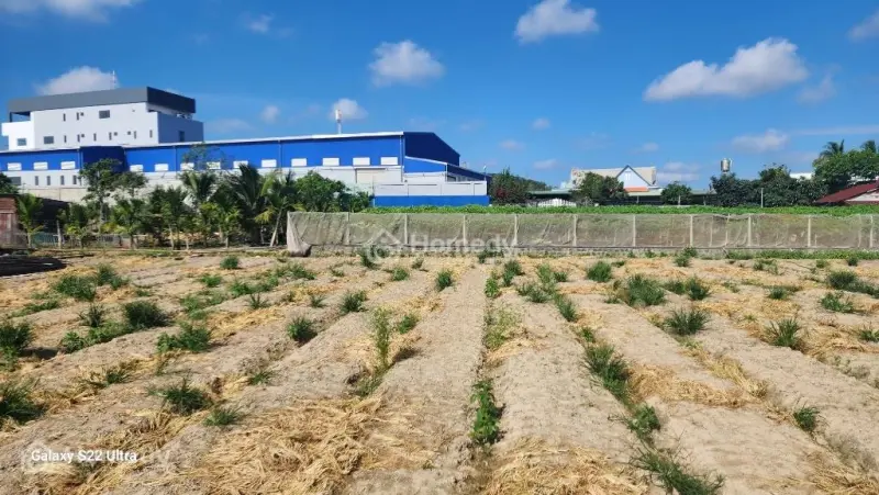 Bán Đất Nền Giá Rẻ Xã Đức Trọng, Tỉnh Lâm Đồng, Gần Chợ, Trường Học, Công Viên, Khu Công Nghiệp