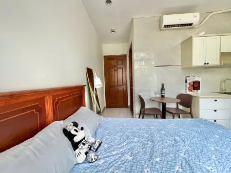 Studio Full Nt Quận 7 Kdc Ven Sông Kế Tdtu ,Rmit, Quận 8, Trung Sơn, Quận 4