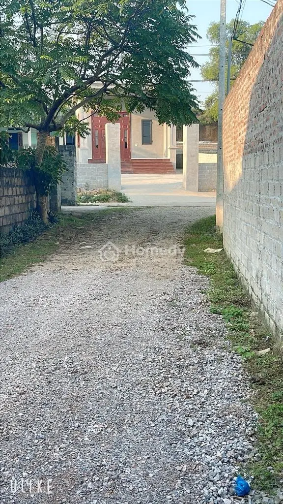 🔥 245M² Full Thổ Cư – Chưa Tới 1,5Ty 📍 Lương Sơn – Hòa Bình