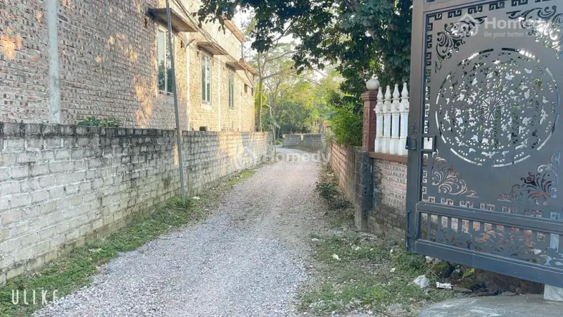 🔥 245M² Full Thổ Cư – Chưa Tới 1,5Ty 📍 Lương Sơn – Hòa Bình