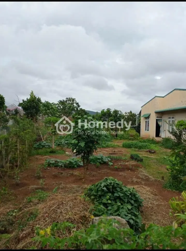 Bán Đất Thổ Cư Giá Rẻ, Dt: 207 M2( 8,3M X 25 M), Gần Mọi Tiện Ích, Tại Xã Hiệp Thạnh, Lâm Đồng