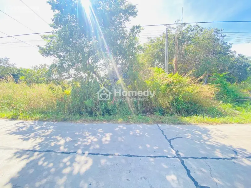 Bán 15M X 30M Full Thổ Cư Đường Số 14 - Tân Xuân - Hàm Tân Giá Đầu Tư