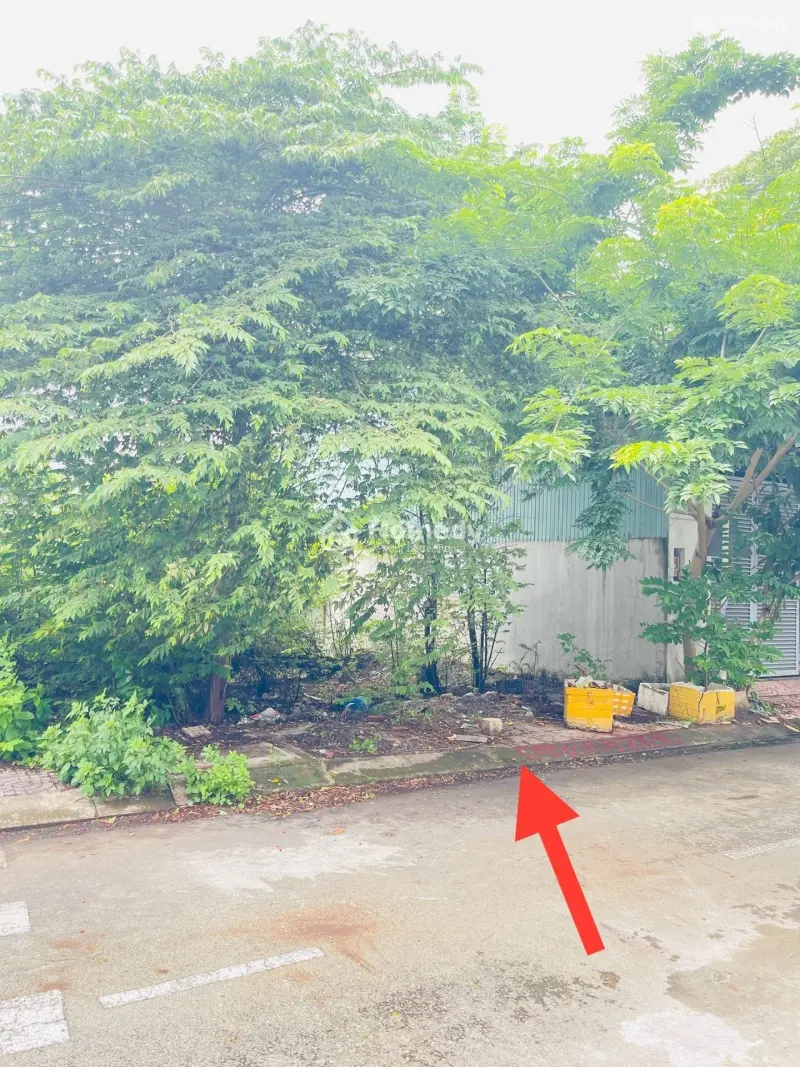 🔴Cho Thuê Đất Đối Diện Chung Cư Ricca Gò Cát🔴