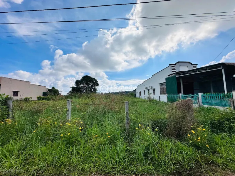 6X38(231M2) Full Thổ Cư, Hẻm Lý Thái Tổ Tân Tiến View Biển