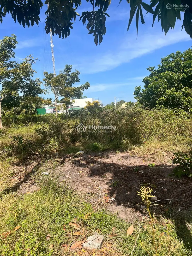 Bán Đất Khu Dân Cư An Ninh, Đất Sạch Sổ Riêng , Sang Tên Nhanh. Làm Ciệc Chính Chủ