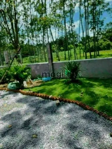 Bán Nhà Vườn Xã Phước Thạnh, Diện Tích 18×56=1000M,