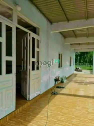 Bán Nhà Vườn Xã Phước Thạnh, Diện Tích 18×56=1000M,