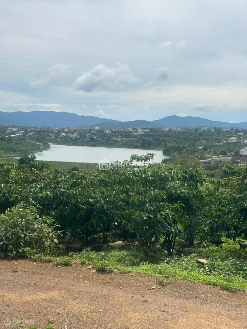 7X40 126 Thổ Cư Mt Nhựa View Hồ Giá 840Tr Sổ Riêng Xã Tân Châu