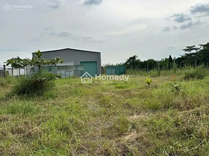 Đất Quy Mô Lớn 19.318M² – Chánh Phú Hòa, Bến Cát – Có Skc – Tiềm Năng Tăng Giá Mạnh