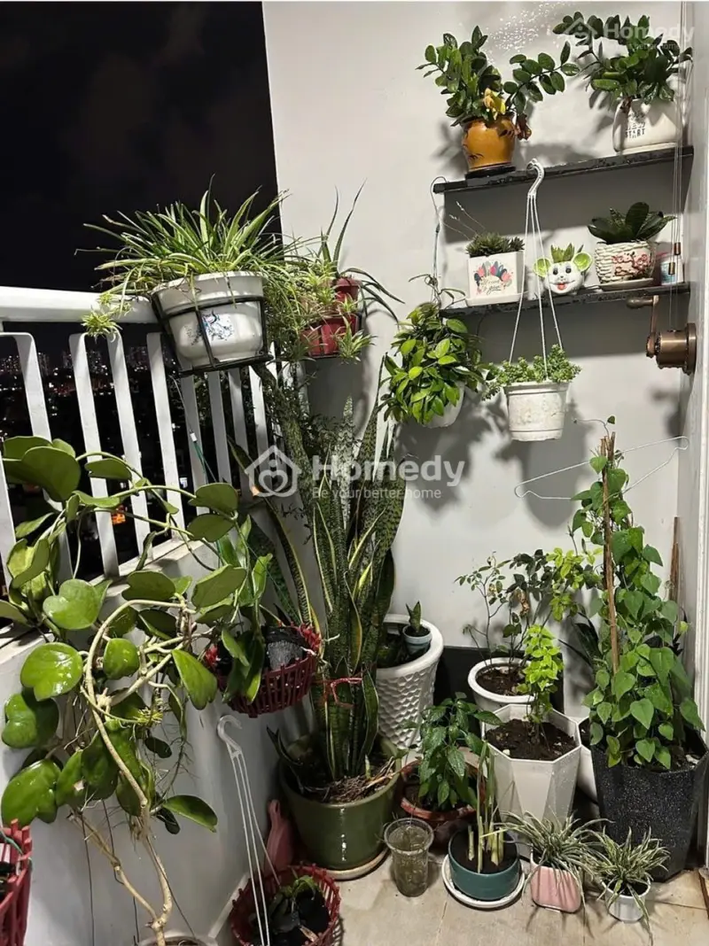 Bán Chung Cư Thới Bình (Giấy Tờ Hợp Lệ Đầy Đủ, Đầy Thiện Chí) Tại Quận 11