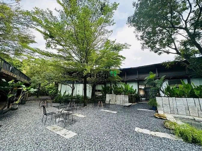 Đang Hot! Mặt Bằng Khu Phức Hợp Thảo Điền, Q2 Cực Chill. Giá 58Tr/Th