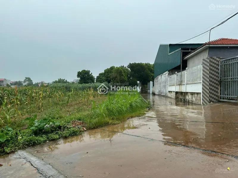 Bán Lốc 15 Lô Đất Tại Tân Yên, Bắc Giang. Đường 5M, Ô Tô Vào, Dân Xung Quanh 450Tr/Lô