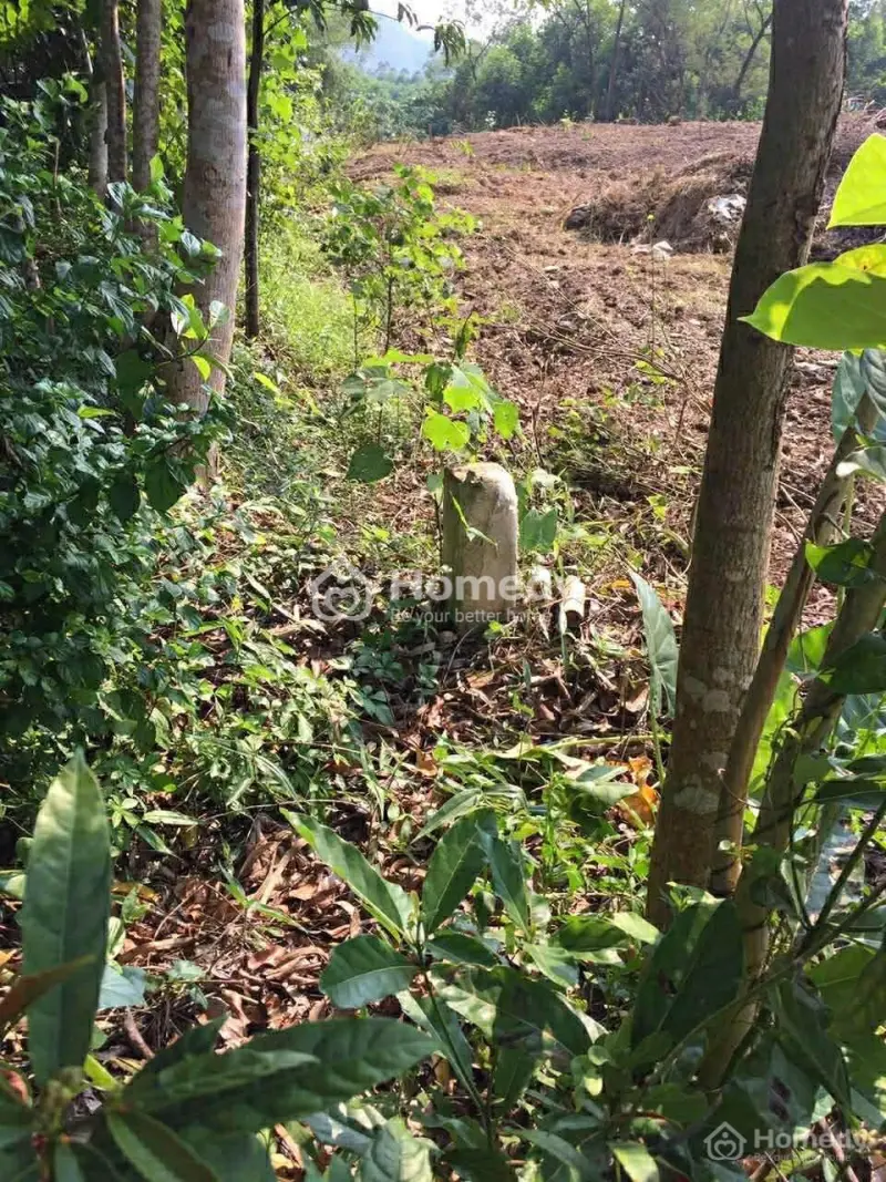 Bán Đất Vườn Tại Bắc Sơn, Sóc Sơn, Hà Nội 1800M2, 400Tc, Ô Tô, Có Suối, 4,2 Tỷ