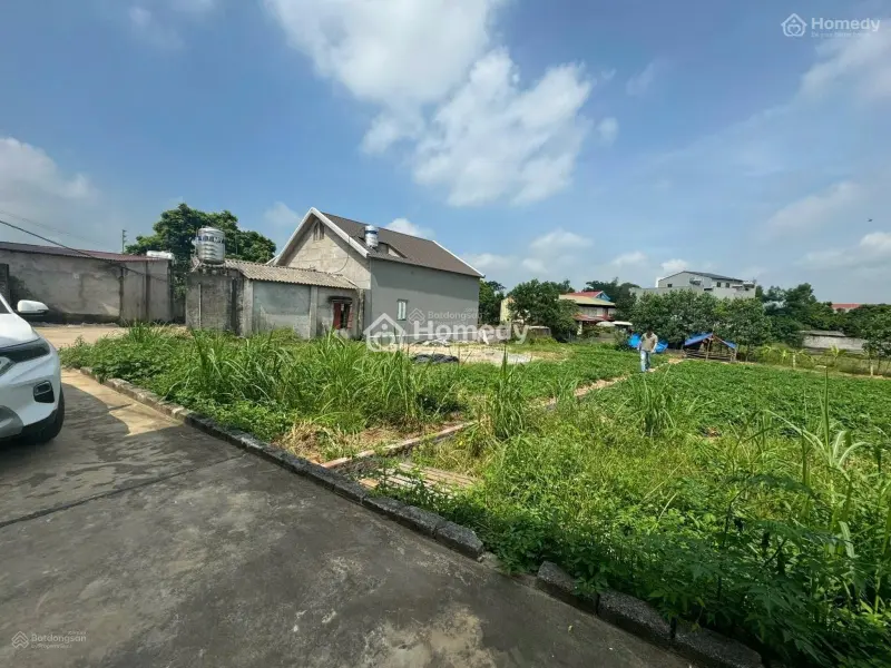 Bán Lốc 15 Lô Đất Tại Tân Yên, Bắc Giang. Đường 5M, Ô Tô Vào, Dân Xung Quanh 450Tr/Lô