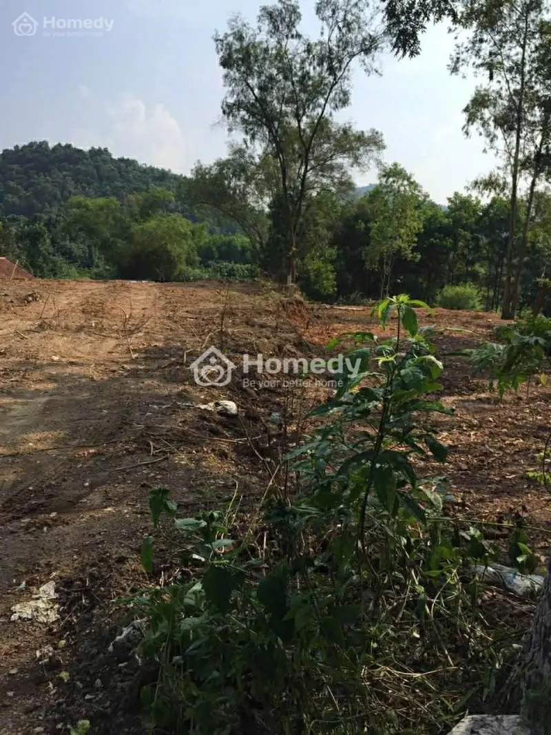 Bán Đất Vườn Tại Bắc Sơn, Sóc Sơn, Hà Nội 1800M2, 400Tc, Ô Tô, Có Suối, 4,2 Tỷ