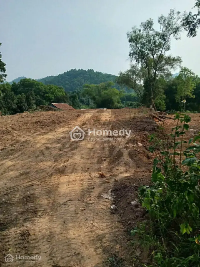 Bán Đất Vườn Tại Bắc Sơn, Sóc Sơn, Hà Nội 1800M2, 400Tc, Ô Tô, Có Suối, 4,2 Tỷ