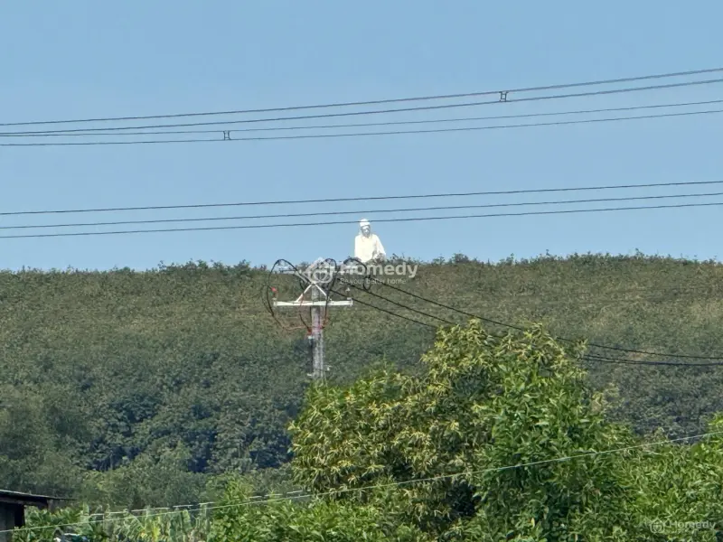 🔥 Đất Thổ Cư Siêu Hot - Gia Tân 2, Đồng Nai🔥