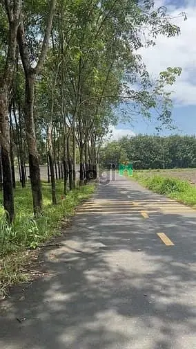 Bán Nhanh Lô Góc 2Mt – Sổ Sẵn – Tân Hiệp 22, Dt 271M2 Chỉ 750 Triệu