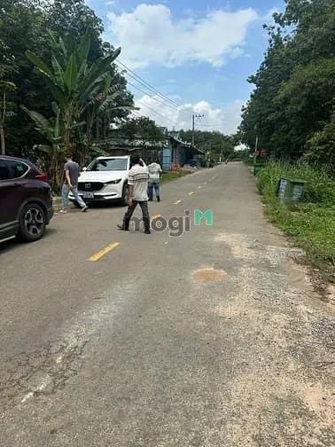 Đất Đẹp Phước Hòa – Mặt Tiền Nhựa Dh514 – 890 Triệu Sở Hữu Ngay!