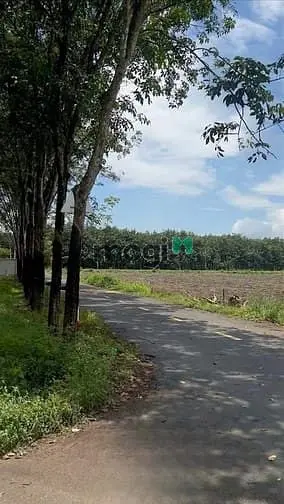 Bán Nhanh Lô Góc 2Mt – Sổ Sẵn – Tân Hiệp 22, Dt 271M2 Chỉ 750 Triệu