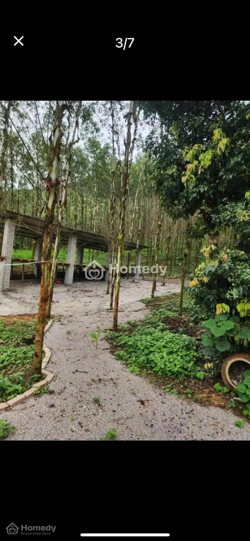 Trang Trại Siêu Vip! 3.5Ha, Có 500Tc, Nhà Sẵn, Cuối Lạng Giang , Bắc Giang, 2,5 Tỷ