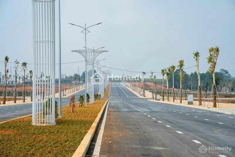 Booking Ngay Hôm Nay Để Nhận Ưu Đãi Đặc Biệt Tại Sao Mai Thọ Xuân