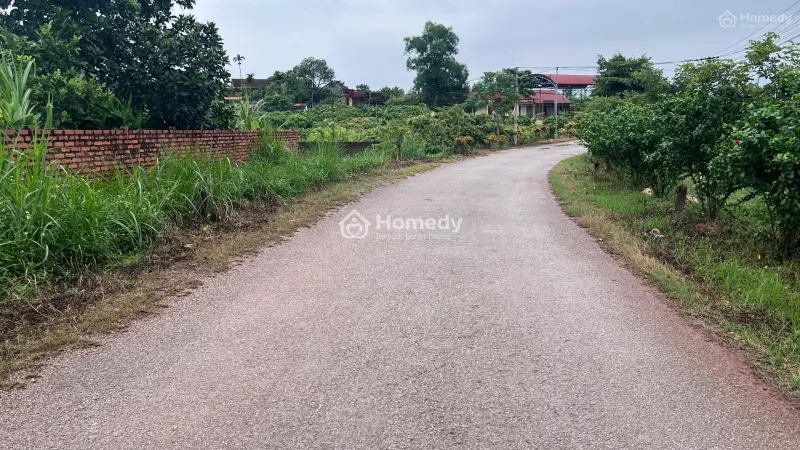 Siêu Hot! S=1600M2, Lam Cốt, Tân Yên, Bắc Giang, 300Tc, 200M Ra Tl 294D 2,75 Tỷ