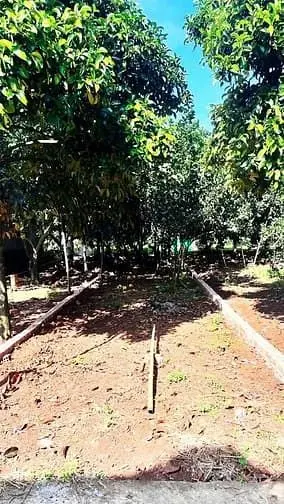 Chính Chủ Cần Bán Đất Thổ Cư, P Bình Lộc, Đn, Giá Rẻ Hơn Thị Trường