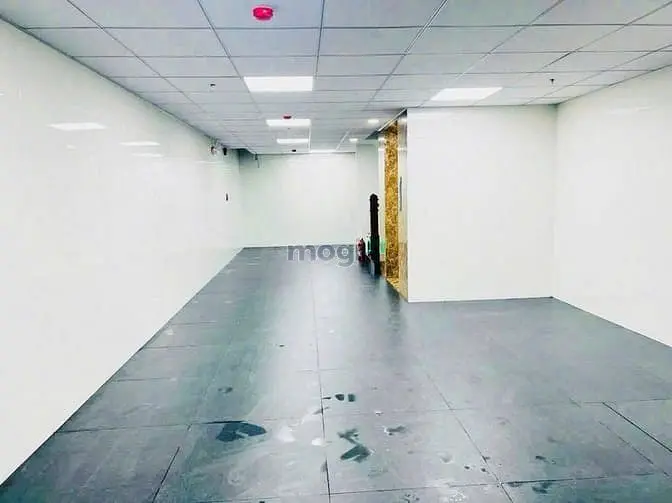 Cho Thuê Tòa Nhà Có Thang Máy , Pccc - Dt 6*20