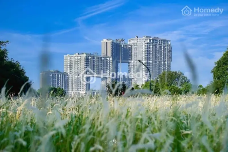 Cho Thuê Căn Hộ Cao Cấp 2Pn 70M2 Sky Forest Ecopark