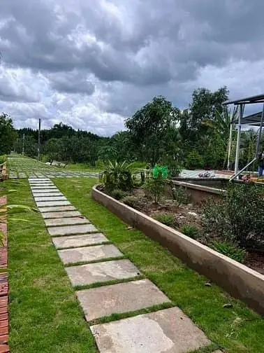 Bình Chánh, Bán Nhà Vườn Đường Vườn Thơm Dt 5000M2 Chỉ 14 Tỷ