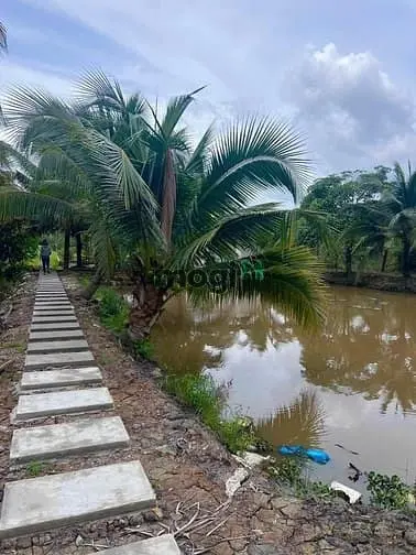 Bình Chánh, Bán Nhà Vườn Đường Vườn Thơm Dt 5000M2 Chỉ 14 Tỷ