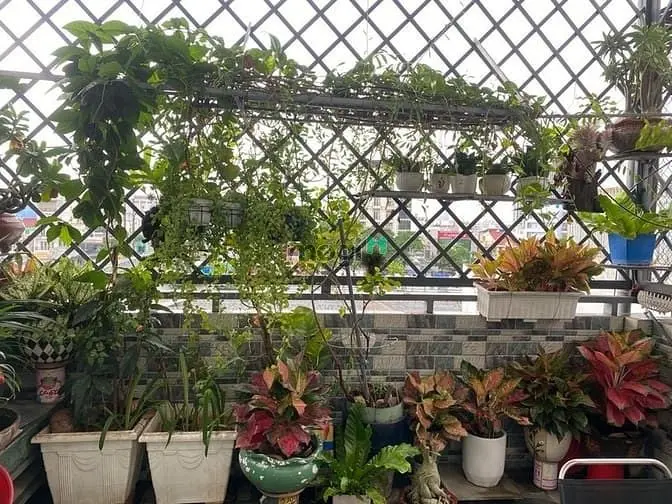 Hxh Huỳnh Tấn Phát - Chỉ Hơn 6 Tỷ - 4 Pn - Ngang Lớn - Đủ Tiện Ích