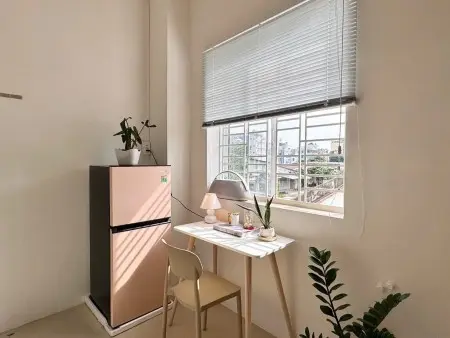 Cho Thuê Phòng Trọ Giá Rẻ Dạng Duplex(Có Gác) Cửa Sổ Lớn Ngay Go! Miền Đông, Công Viên Lê Thị Riêng