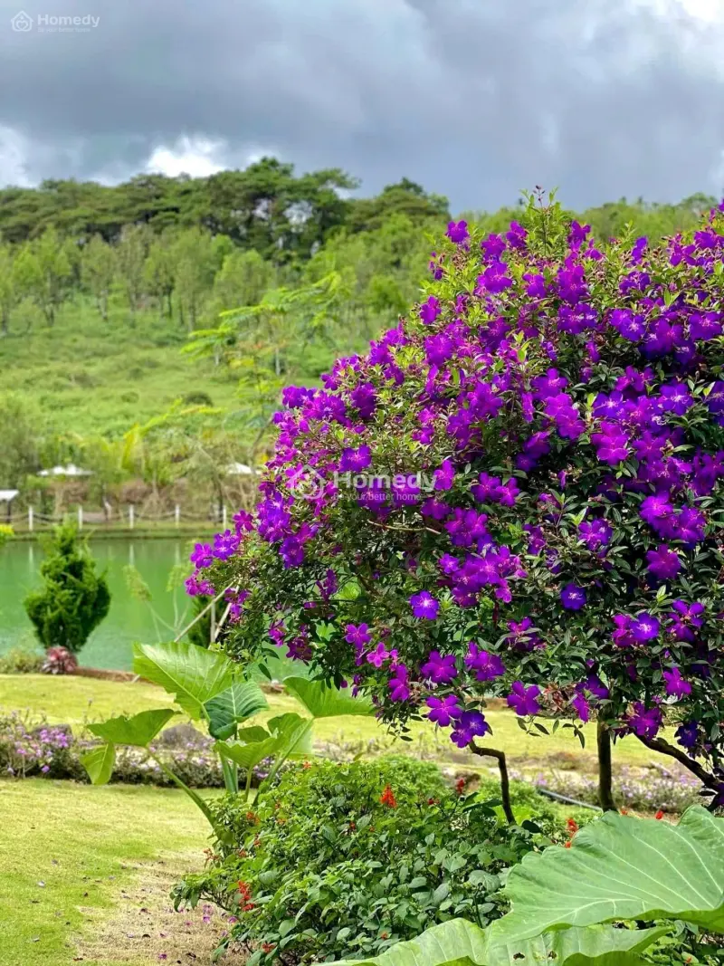 Đất Ngộp 150M2 Giá 6,9Tr/M2 Ngay Cao Tốc, View Đồi Bảo Lộc