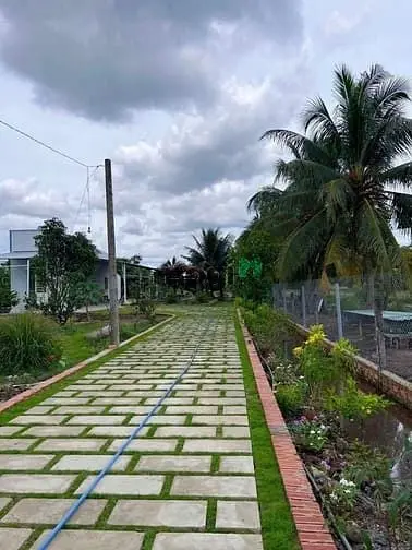 Bình Chánh, Bán Nhà Vườn Đường Vườn Thơm Dt 5000M2 Chỉ 14 Tỷ