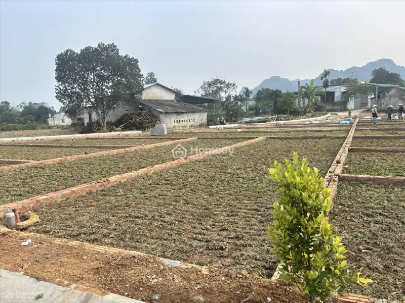 🔥Chỉ Với 3Xxtriệu - Cơ Hội Tăng Tài Sản Bứt Phá 💥