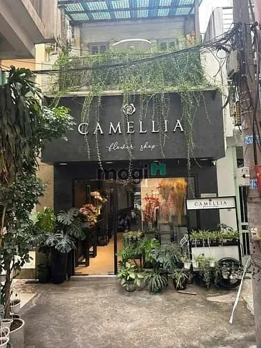 Bán Nhà Mt Thụt Bùi Thị Xuân Q.1 - Ngang 4M Nở Hậu 4,2M X 20M