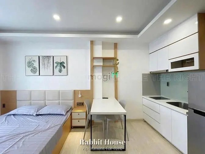 Căn Hộ Chung Cư Mini Cửa Sổ Lớn Ngay Cầu Thị Nghè Quận 1