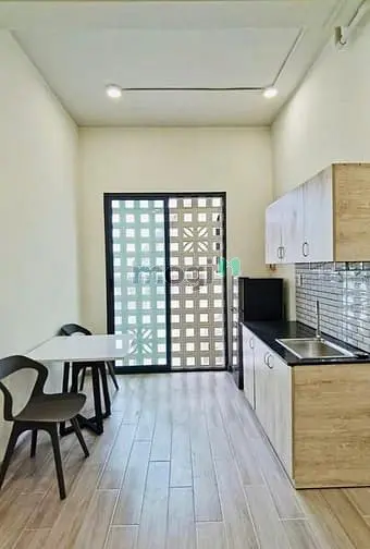 Căn Hộ Chung Cư Mini Studio Cao Cấp Cửa Sổ Lớn 30M2 Gần Cầu Công Lý