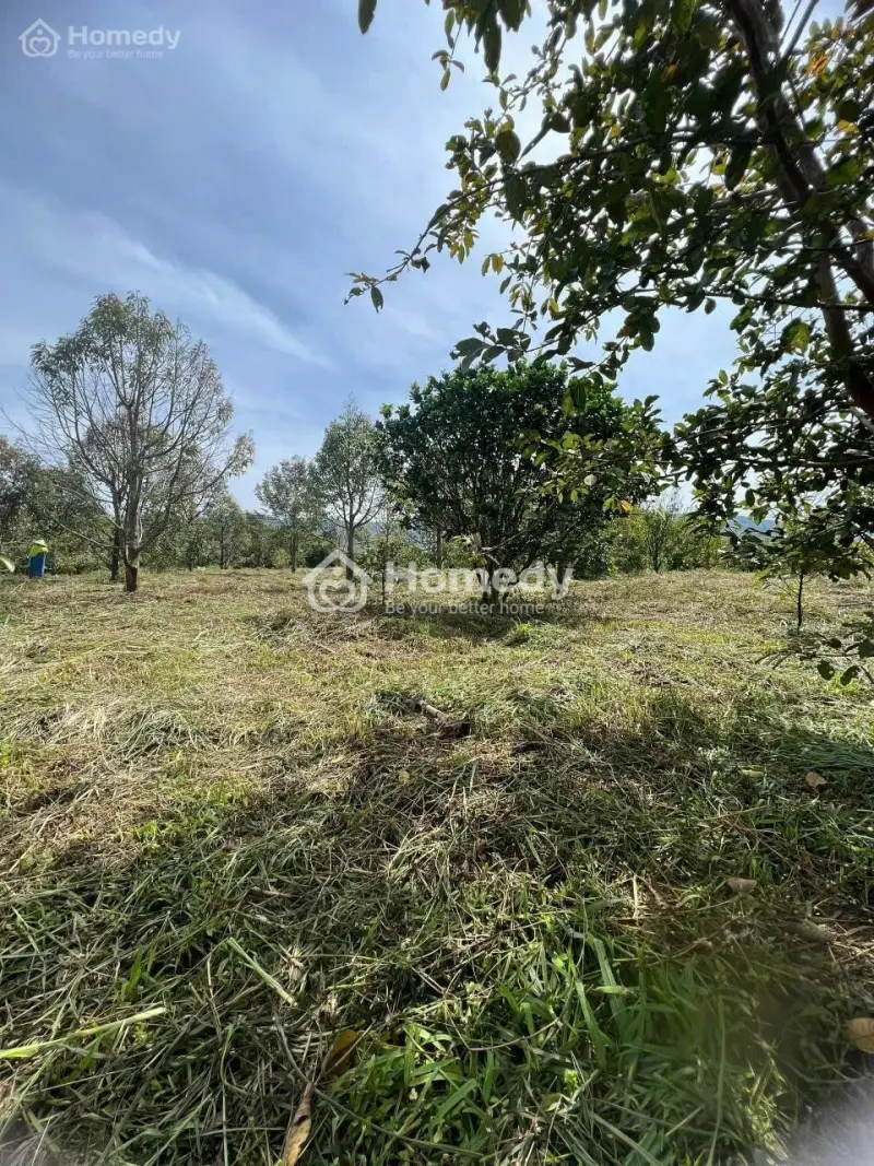 Ai Thích Làm Vườn, Nghỉ Dưỡng Thì Xem Mảnh Này Liền – Suối Ôm Đất