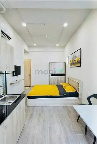 Căn Hộ Chung Cư Mini Studio Cao Cấp Cửa Sổ Lớn 30M2 Gần Cầu Công Lý