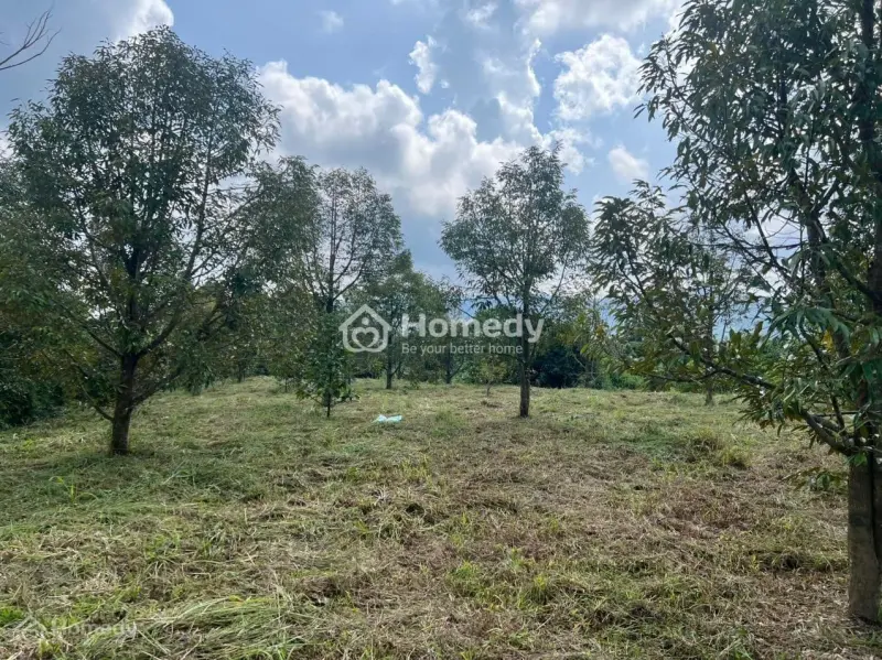 Ai Thích Làm Vườn, Nghỉ Dưỡng Thì Xem Mảnh Này Liền – Suối Ôm Đất