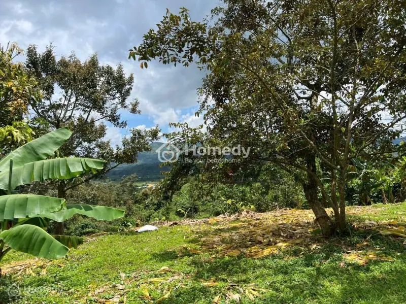 Hiếm: 3.700M² Đại Lào Full Thổ Cư, Đường Đẹp, Nhìn Thẳng View Núi