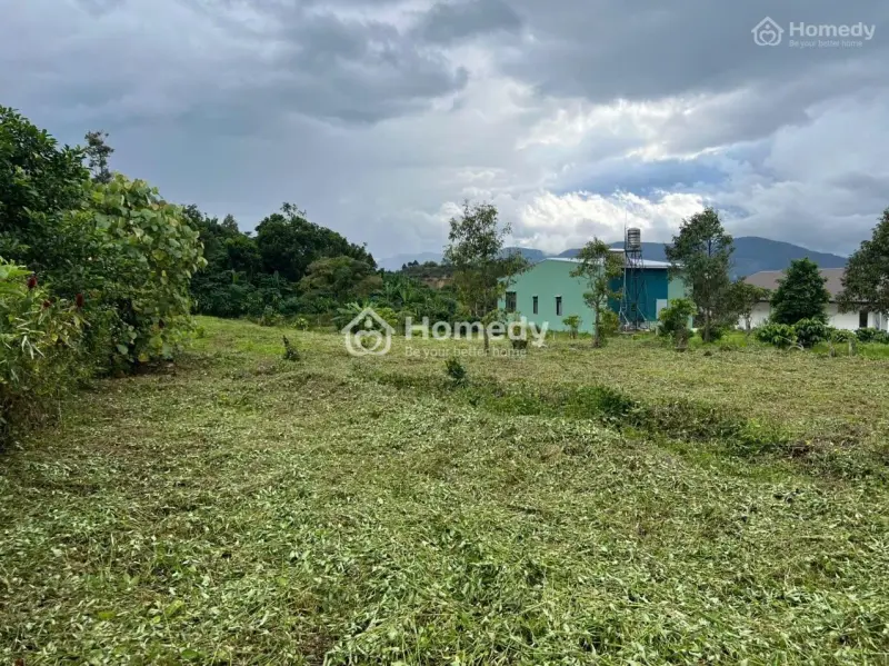 Đại Lào – Bảo Lộc: 2.012M² Đất Nông Nghiệp, Đường Bê Tông– Ô Tô Tới Nơi, Sổ Riêng