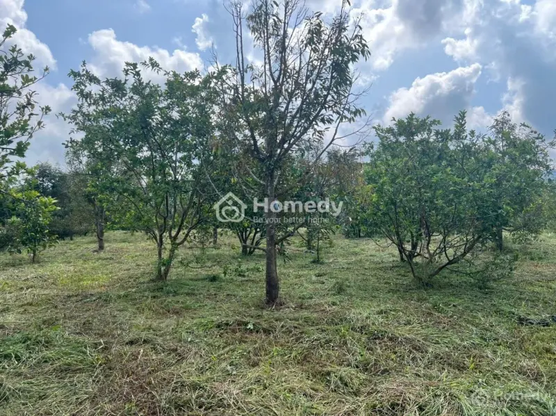 Ai Thích Làm Vườn, Nghỉ Dưỡng Thì Xem Mảnh Này Liền – Suối Ôm Đất