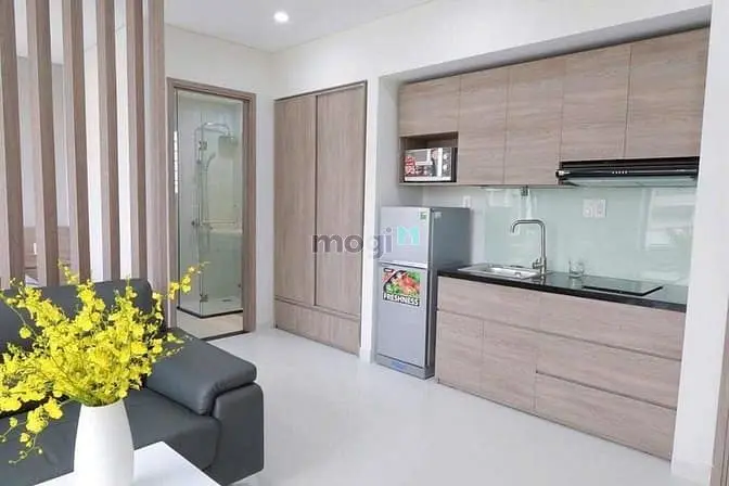 Căn Hộ Chung Cư Mini 1 Phòng Ngủ Lớn Rộng Hơn 40M2 Style Sang Trọng