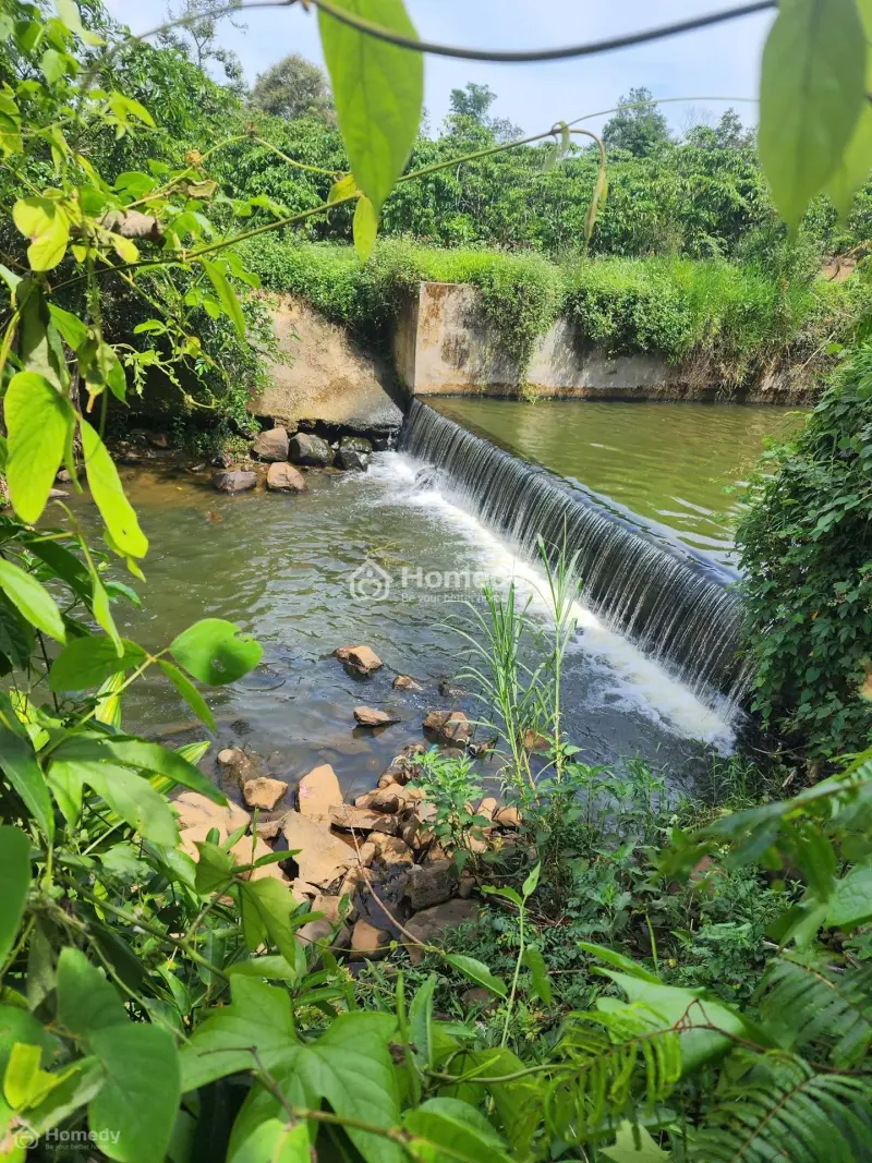 Bán Đất View Hồ– Suối Tự Nhiên Giá 5.000.000 Đ/M² Ngay Trung Tâm Bảo Lộc